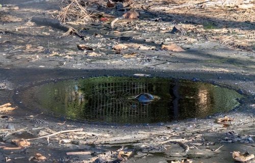 Dakrenovatie in Overijssel — vakkundige uitvoering